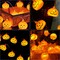 10 LED Halloween Pumpkin Lantern String Light Party Christmas Outdoor Decor Lamp